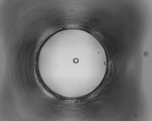 X0000115260049200911201715