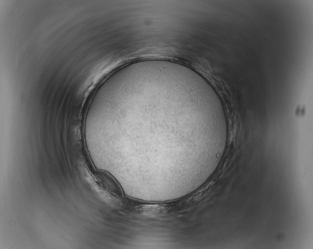 X0000115260050200911201715