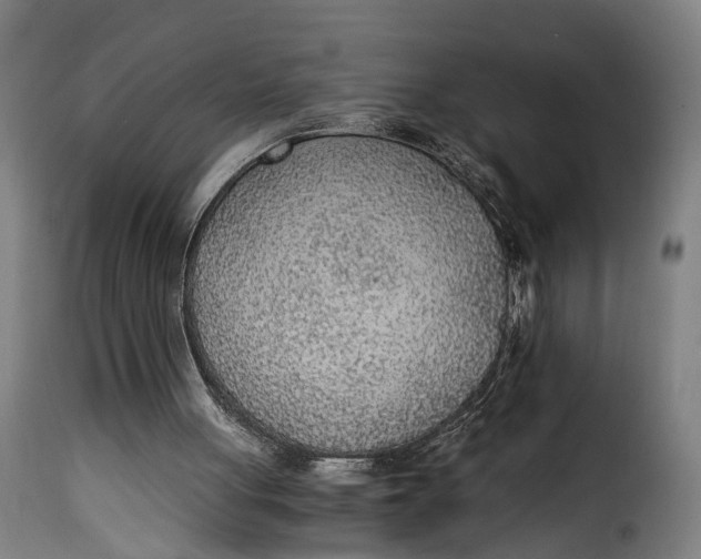 X0000115260051200911201715