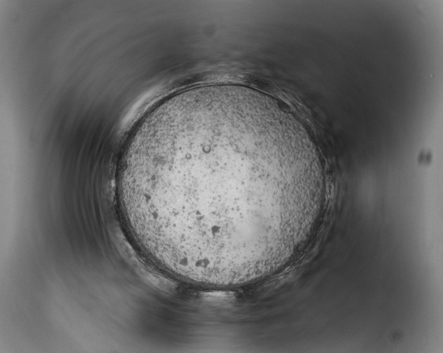 X0000115260053200911201715