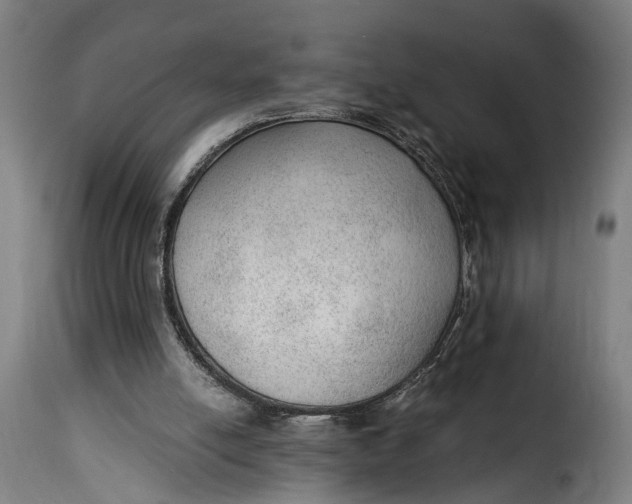 X0000115260054200911201715