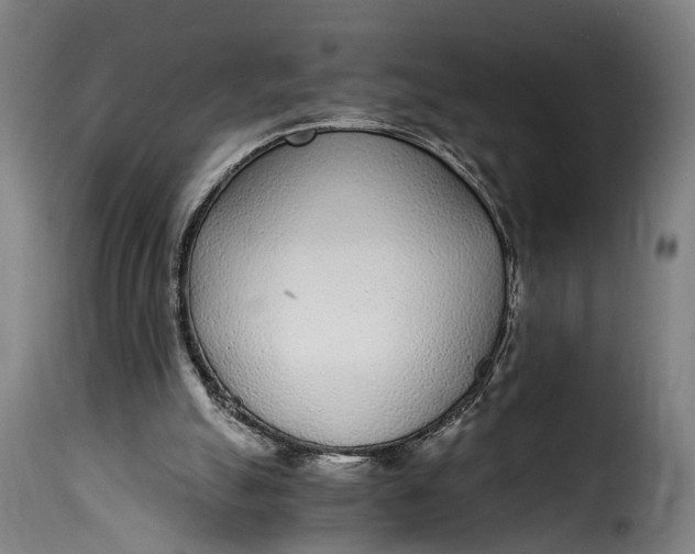 X0000115260055200911201715