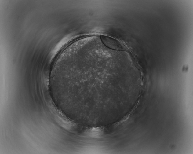 X0000115260056200911201715