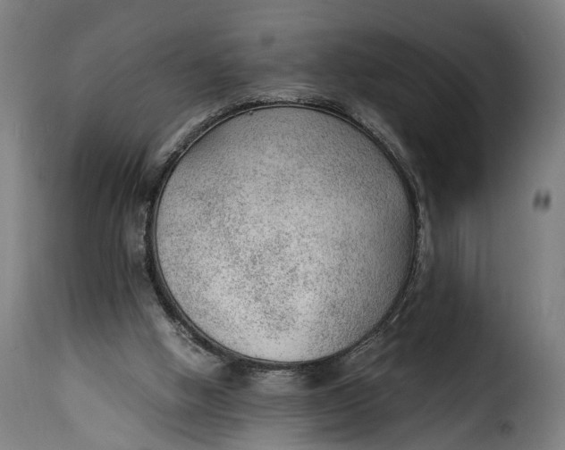 X0000115260058200911201715