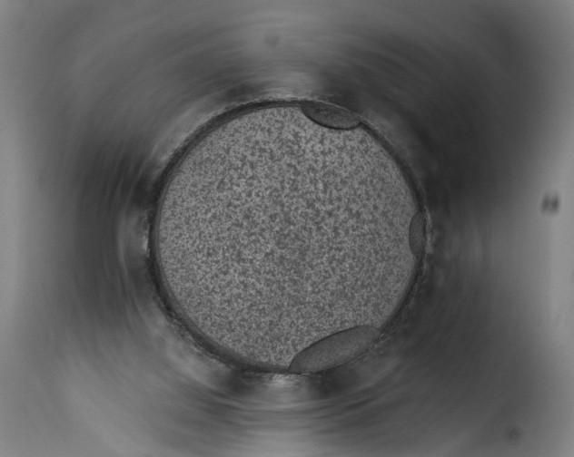 X0000115260060200911201715