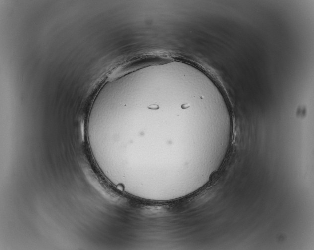 X0000115260061200911201715