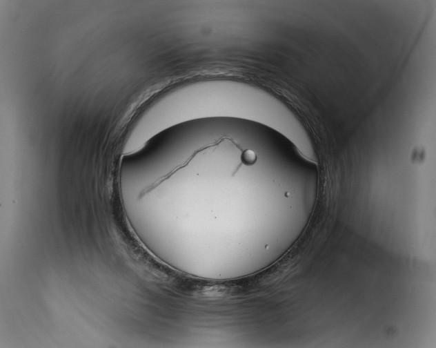 X0000115260064200911201715