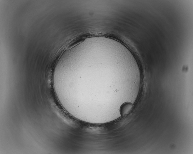 X0000115260065200911201715