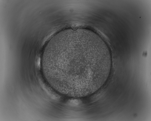 X0000115260067200911201715