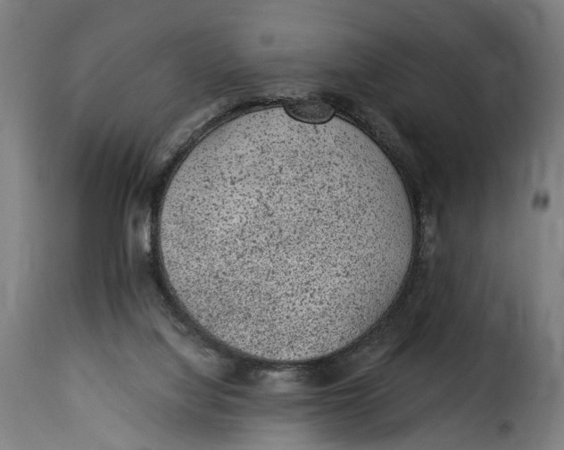 X0000115260068200911201715
