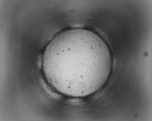 X0000115260069200911201715