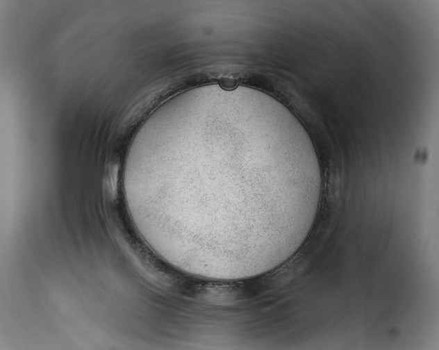 X0000115260070200911201715