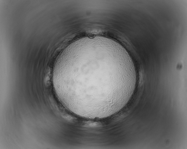 X0000115260073200911201715