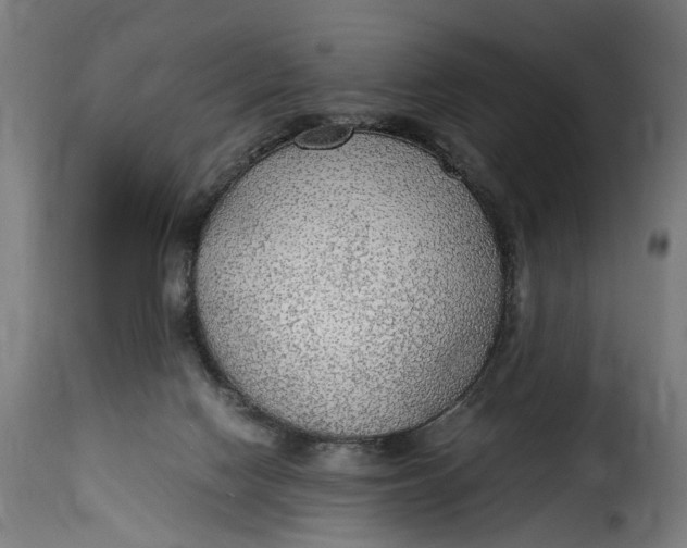 X0000115260074200911201715