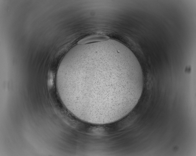 X0000115260075200911201716