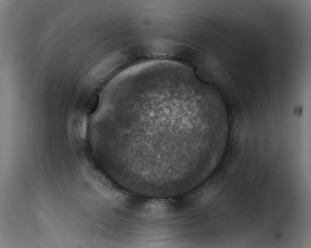 X0000115260076200911201716