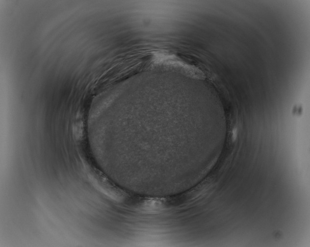 X0000115260080200911201716