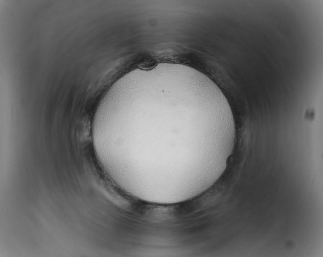 X0000115260081200911201716