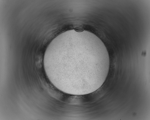 X0000115260082200911201716