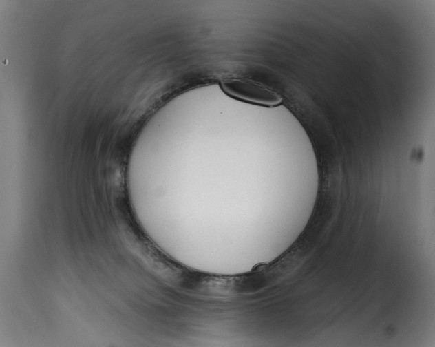 X0000115260084200911201716