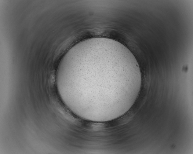 X0000115260085200911201716