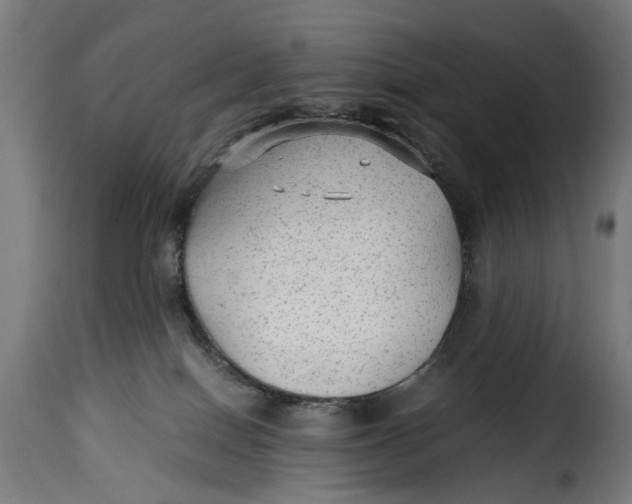 X0000115260086200911201716