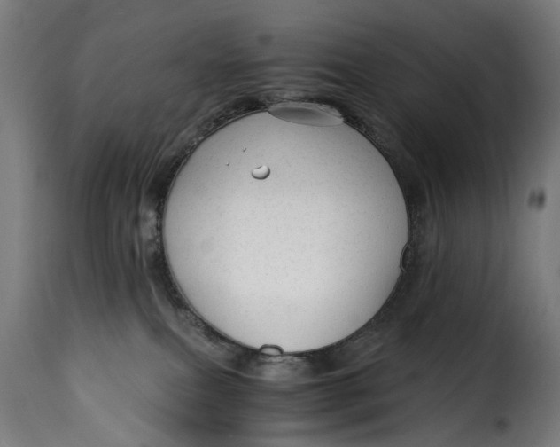 X0000115260087200911201716