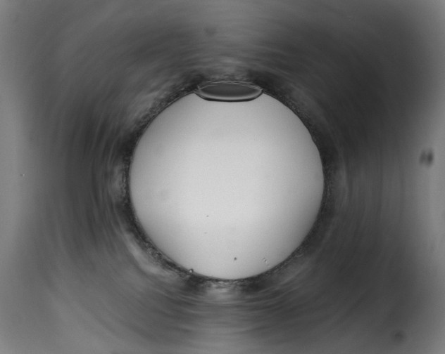 X0000115260088200911201716