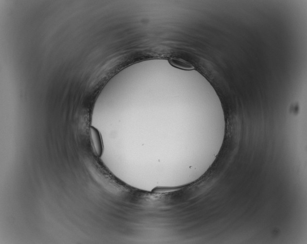 X0000115260092200911201716