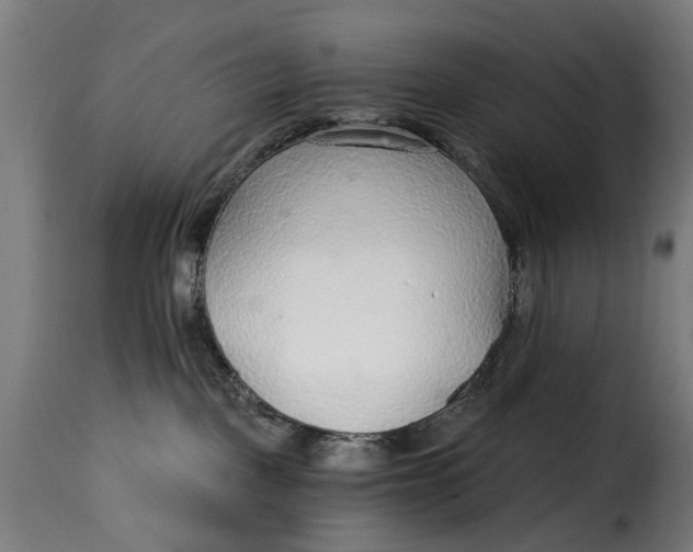 X0000115260093200911201716