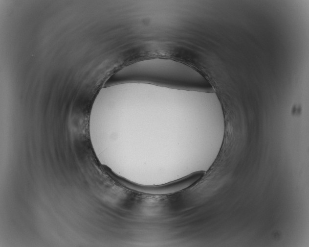 X0000115260096200911201716