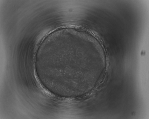 X0000115260097200911201715