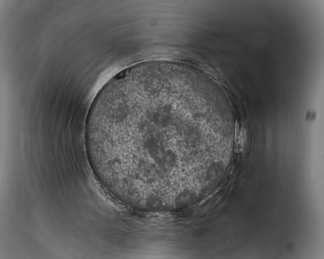 X0000115260099200911201715