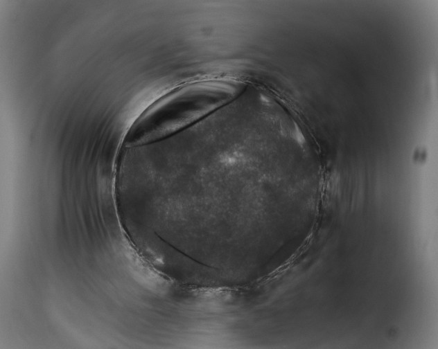 X0000115260100200911201715