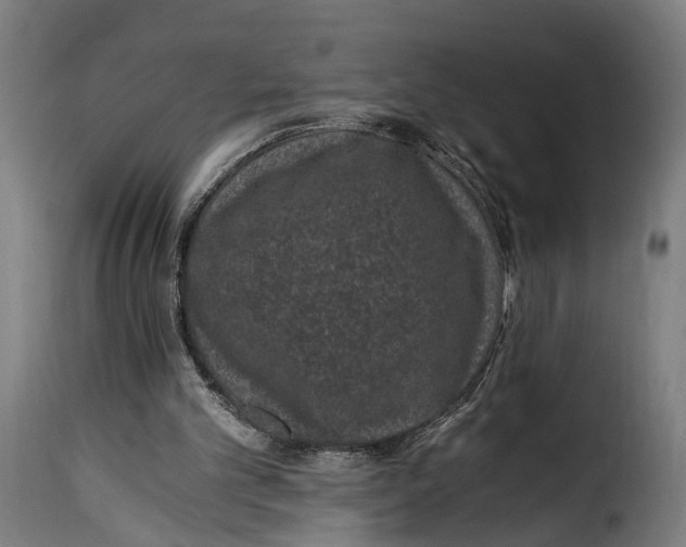 X0000115260101200911201715
