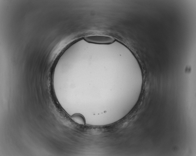 X0000115260103200911201715