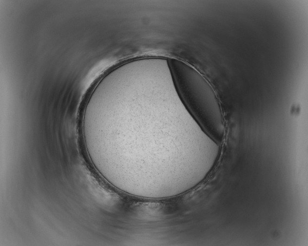X0000115260104200911201715