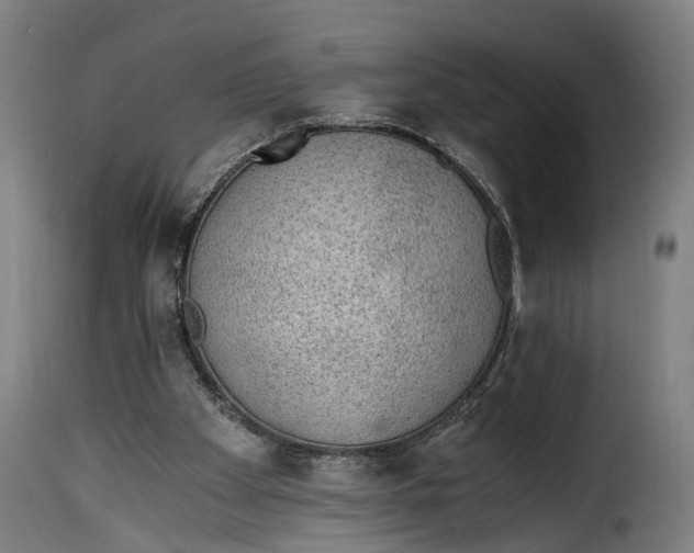 X0000115260105200911201715