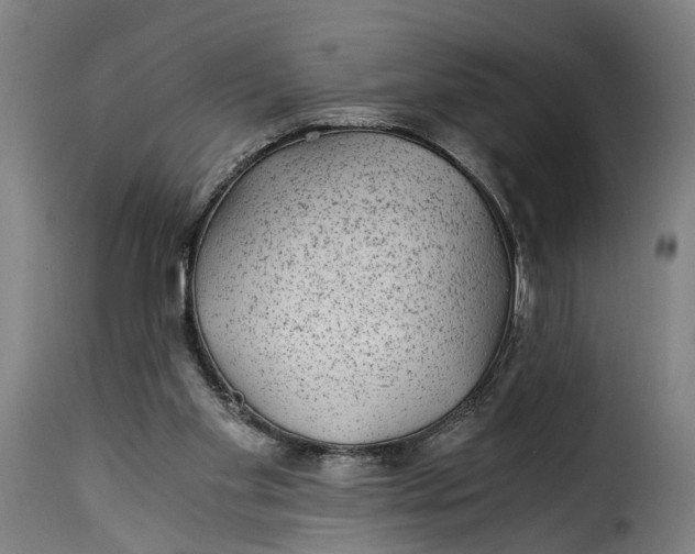 X0000115260109200911201715