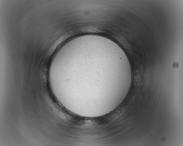 X0000115260111200911201715