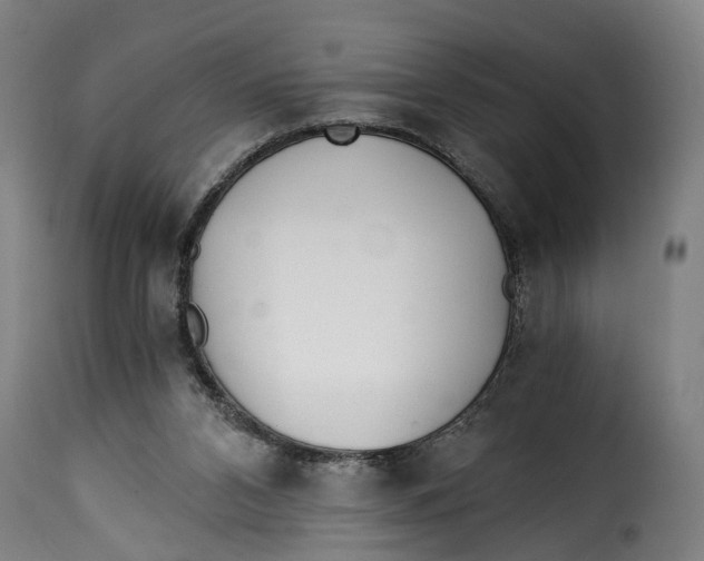 X0000115260112200911201715