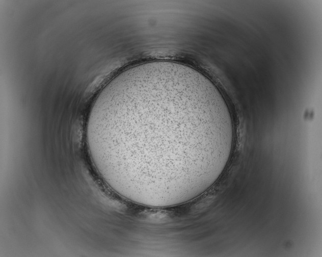 X0000115260113200911201715