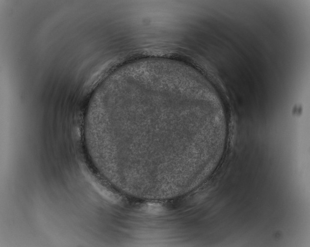 X0000115260114200911201715