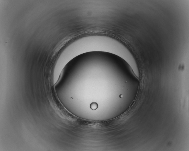 X0000115260116200911201715