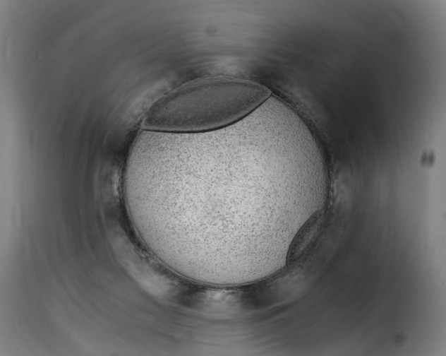 X0000115260117200911201715