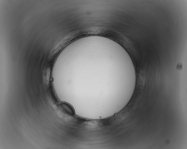 X0000115260118200911201715