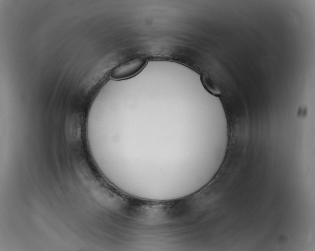 X0000115260120200911201715