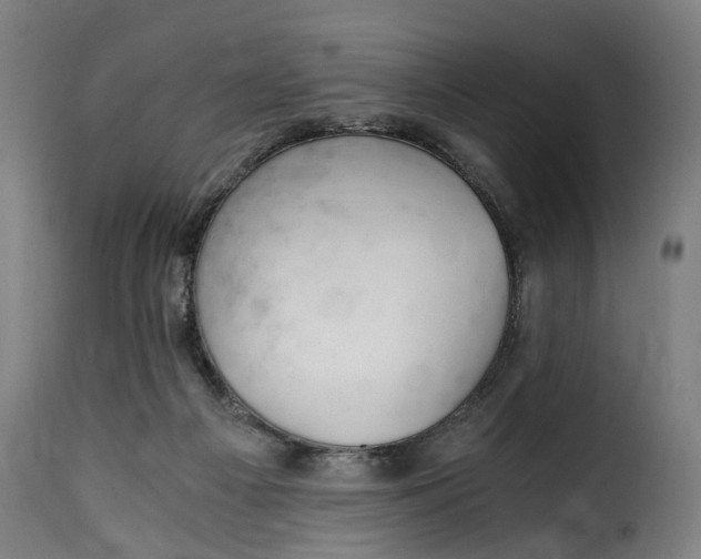 X0000115260121200911201715