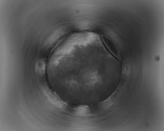X0000115260124200911201715