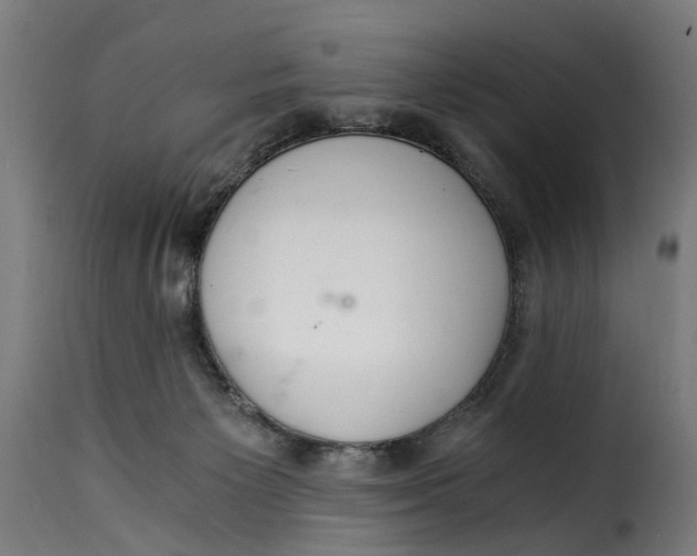 X0000115260125200911201715